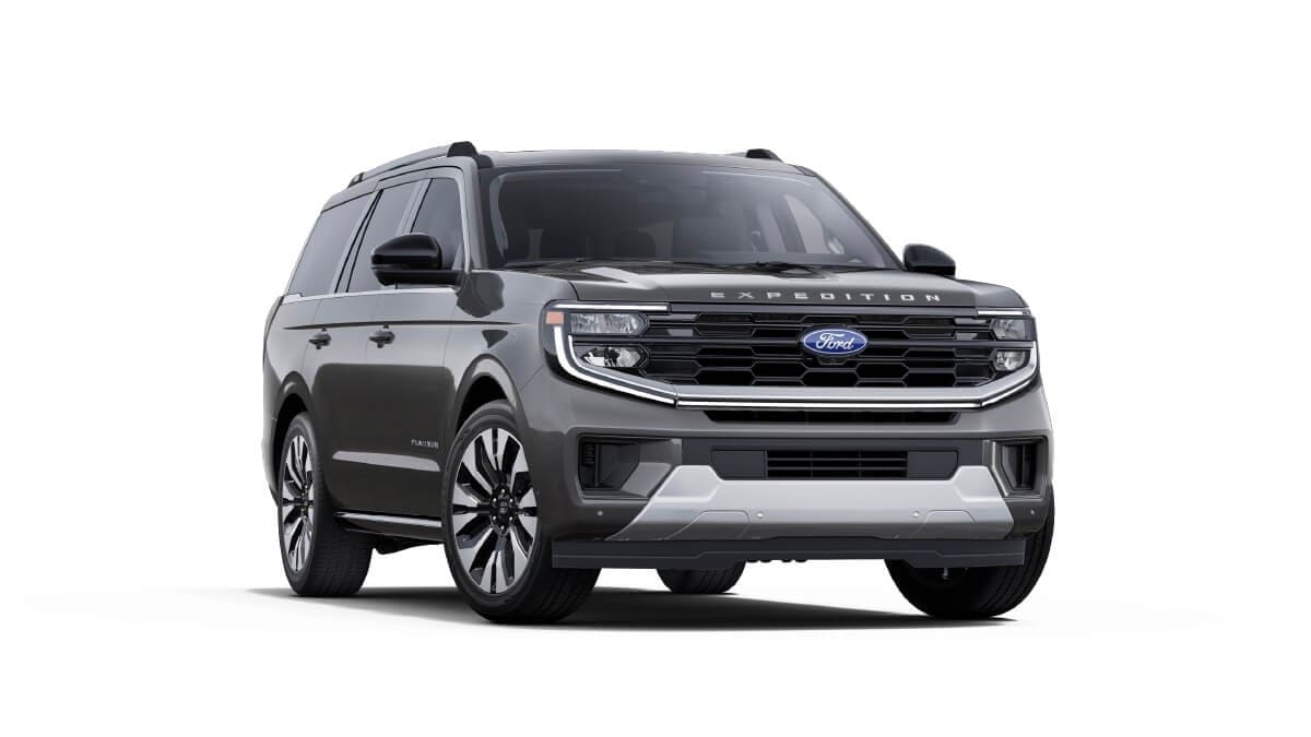 Ford Expedition Gris Metálico