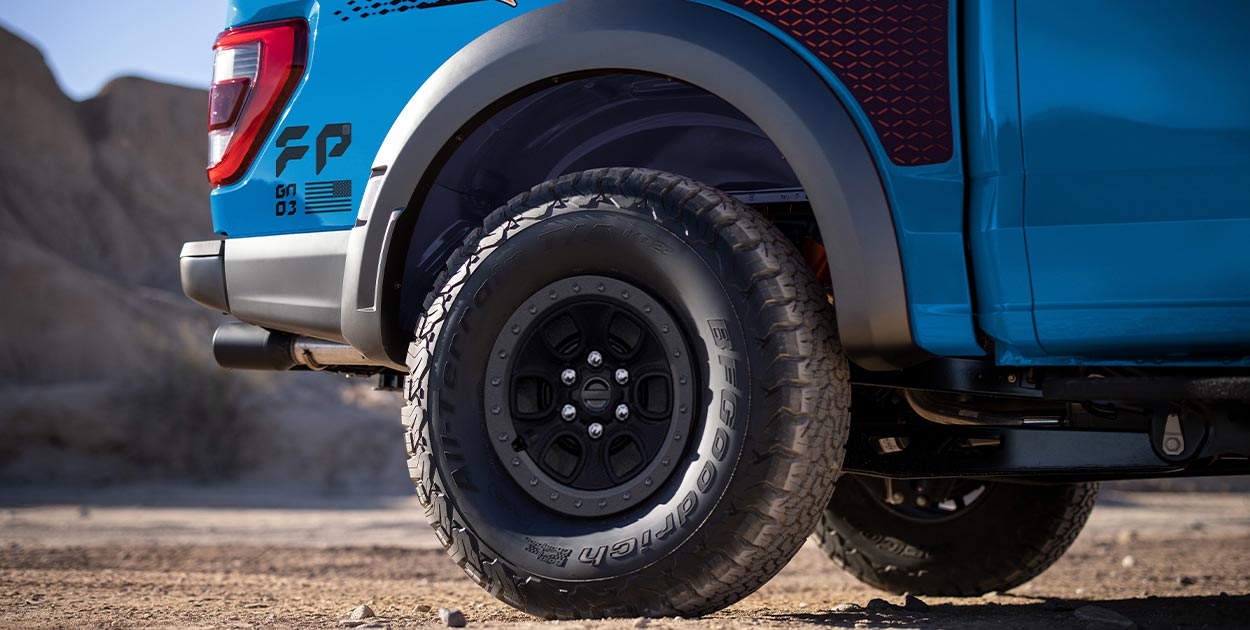 Nuevo Paquete Gráfico Exclusivo Raptor