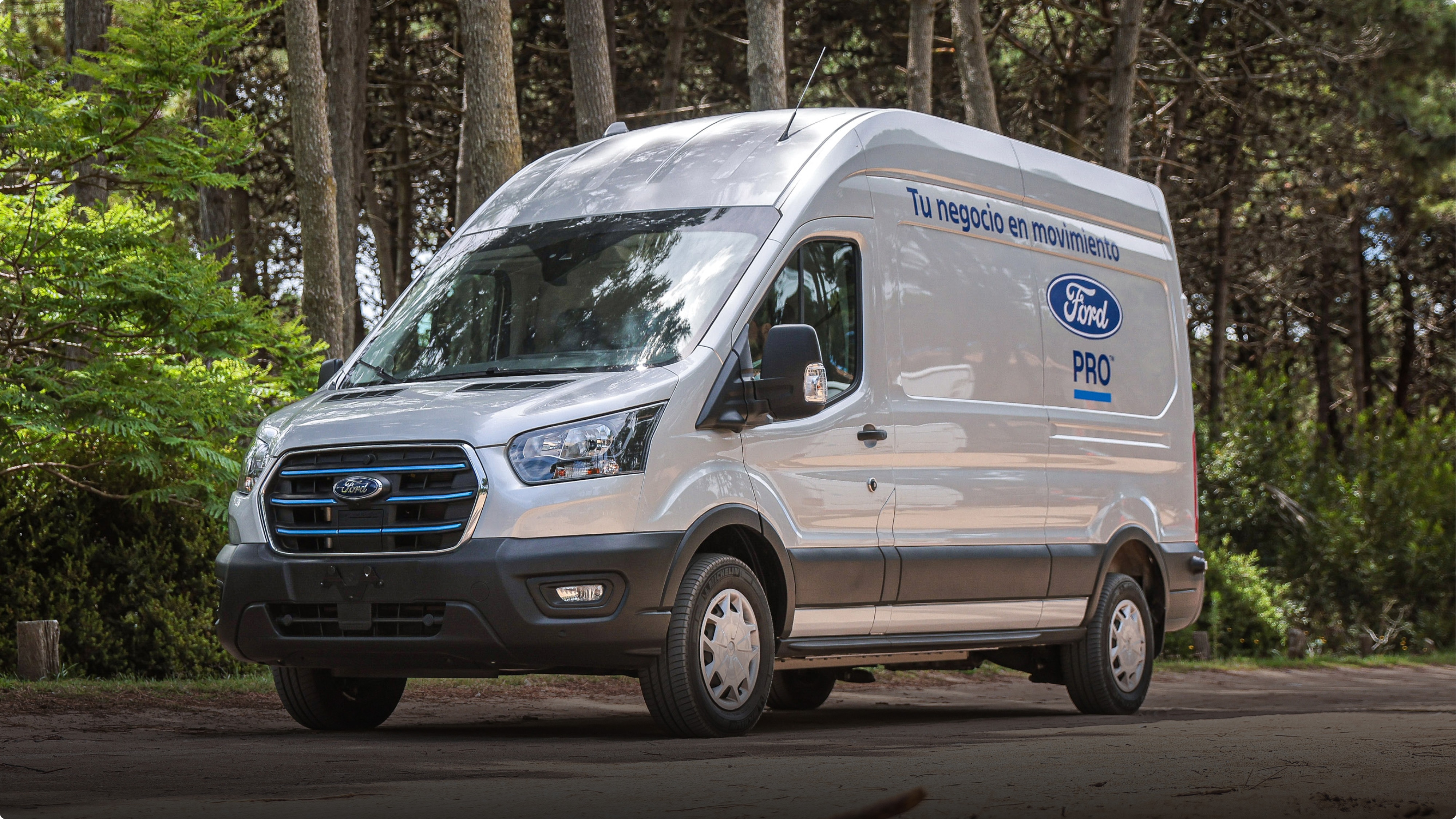 Ford E-Transit Van en color plata estacionada en exterior