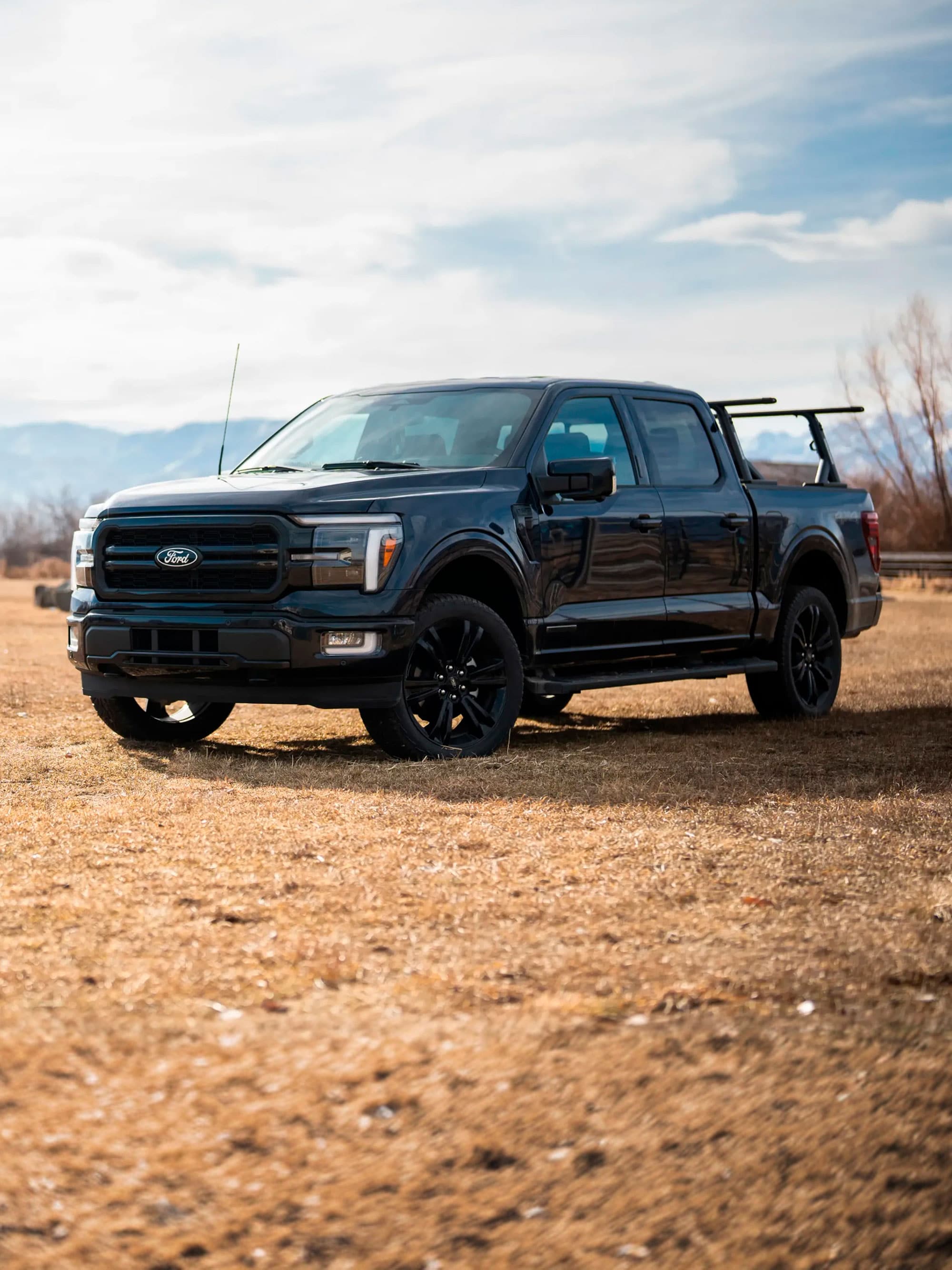 F-150 negra en el campo