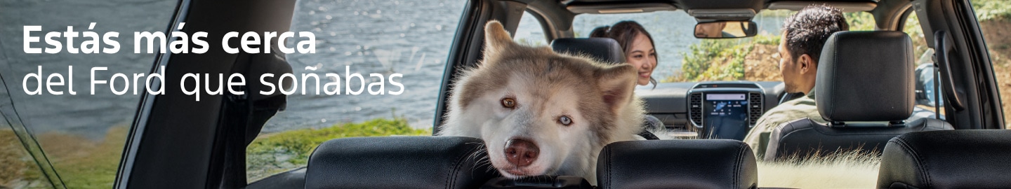 banner-cotizar-lifestyle