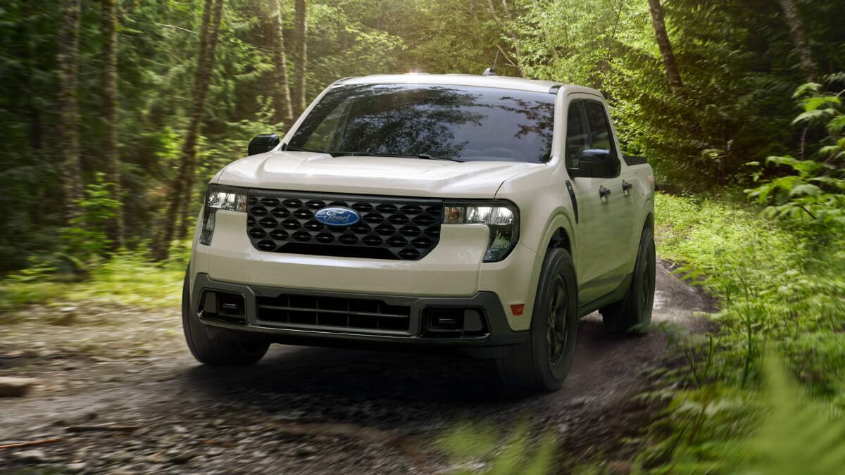 El alma de la naturaleza en movimiento.