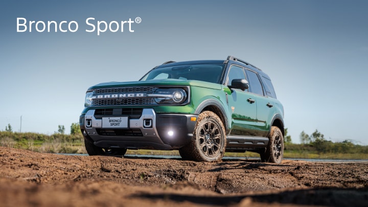 Ranger® Limited +