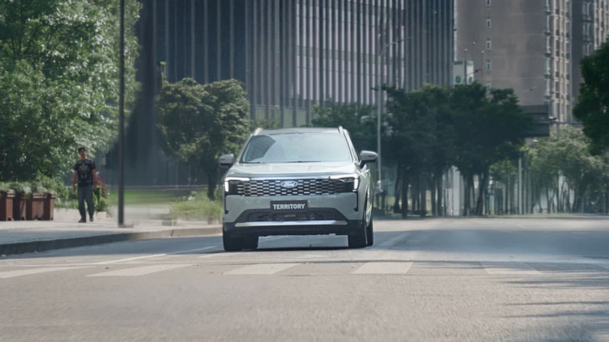 Tranquilidad desde el asiento de atrás