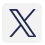 X (Twitter)
